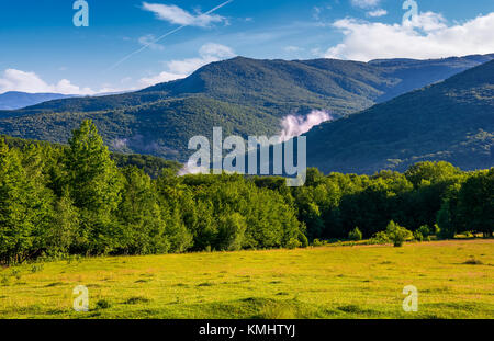 grassy field in front of a forested hills. lovely nature scenery in springtime mountains Stock Photo