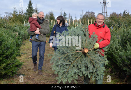 Families enjoying a day out choosing their christmas tree at Hagley Christmas Trees in Worcestershire. Stock Photo