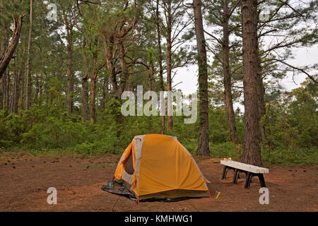 NC01025-00...NORTH CAROLINA - Tent at campsite on Cape Lookout Island near the light house visitor center in Cape Lookout National Seashore. Stock Photo