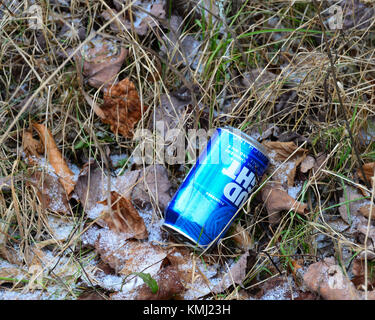 Discarded blue beer can on the side of a forest road in the Adirondack Mountains, NY. Stock Photo