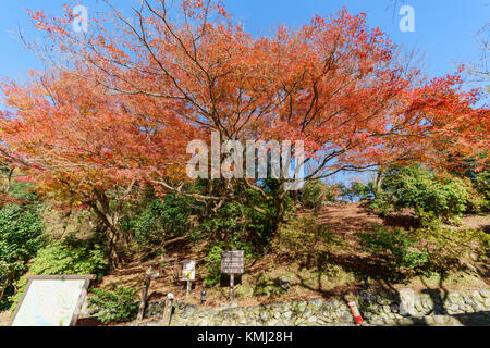 The beautiful fall color, view from TogetuKyo Bridge, Arashiyama, Kyoto, Japan Stock Photo