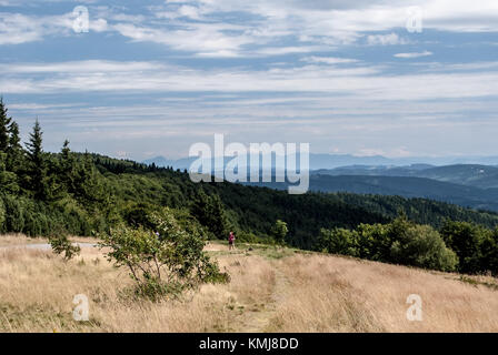 view to Mala Fatra mountain range from Radhost hill in Moravskoslezske Beskydy mountains in Czech republic during summer day with blue sky and clouds Stock Photo