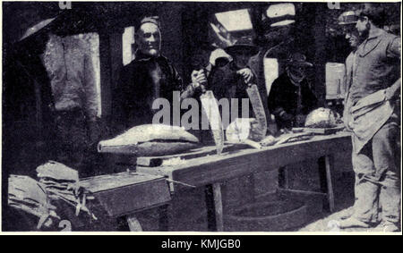 This 1909 photograph, titled 'The Fish Market - Cutting up Tunny,' captures a scene from a fish market where tunny (a type of tuna) is being prepared for sale. The image depicts market workers cutting and processing the fish, showcasing the market's activity in the early 20th century. Stock Photo