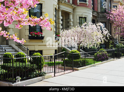 Spring in Back Bay, Boston Stock Photo