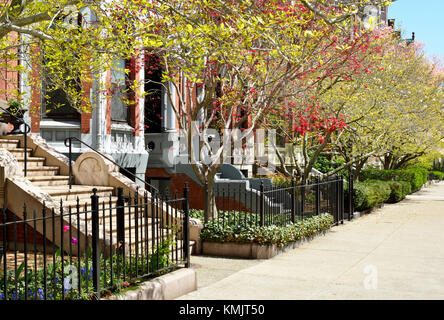 Back Bay. Boston. Colorful gardens of Victorian row houses in early spring. Stock Photo