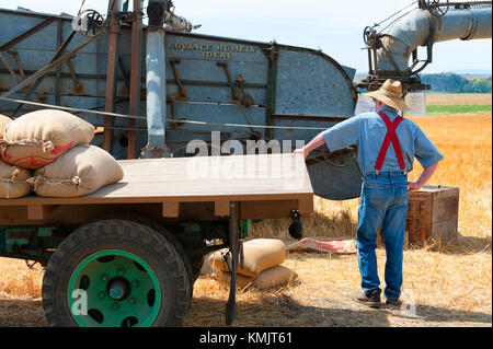 McMinnville, Oregon, USA - August 13, 2016:  An farmer stands by old farming equipment that he is demonstrating at Yamhill County Harvest Festival. Stock Photo