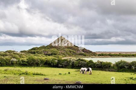 A horse grazing near a china clay pit and spoil heap above St Austell, Cornwall, UK. The site is slowly being reclaimed by nature Stock Photo