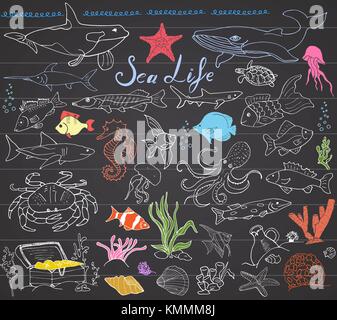 Big sea life animals hand drawn sketch set. doodles of fish, shark, octopus, starfish and crab, whale and sea turtle, seahorse and seashells and lette Stock Vector