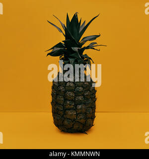 Pineapple in pop art Whole black pineapple is standing upright on a yellow background Close-up fruit photo Modern minimalistic photo Stock Photo