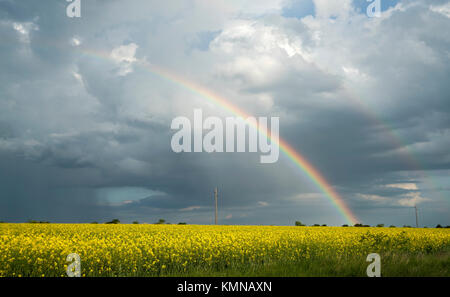 rainbow over the rapeseed field after storm Stock Photo