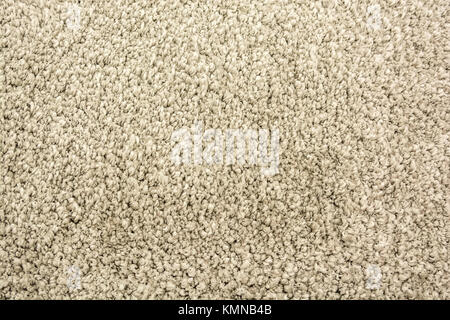 Dark grey domestic carpet texture Stock Photo