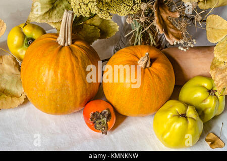 Dried twigs and flowers in a glass vase with various pumpkins,ripe quince and persimmon on a white tablecloth Stock Photo