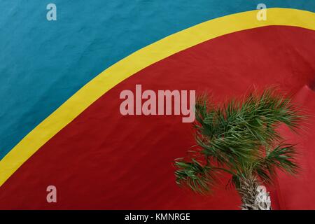 Single palm tree against a red and blue background with a curved yellow stripe Stock Photo
