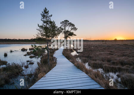 Thursley Common, Surrey, UK. 09th Dec, 2017. Frost on the wooden duckboard path leading through Thursley Common in Surrey, England just as the sun rises on a cold December morning. Taken on Saturday 9th December 2017. Credit: RTimages/Alamy Live News Stock Photo