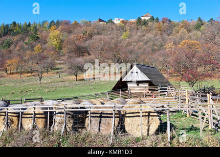 farma Žebrák, Česká republika / farm in Zebrak village, Czech republic Stock Photo