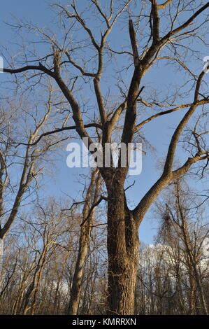 For The Love Of Nature Stock Photo