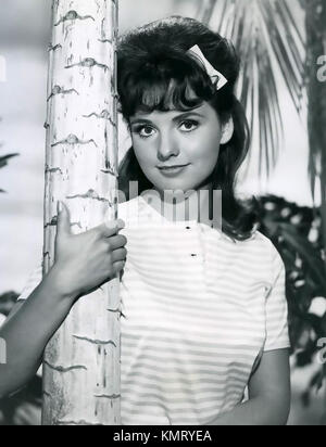 DAWN WELLS American film and TV actress as Mary Ann in the Gilligan's Island TV series in 1964 Stock Photo