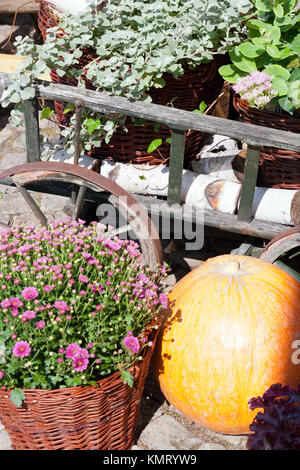 autumnal decoration with wooden rack wagon - old czech village Stock Photo