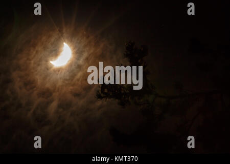 Solar eclipse seen through a ring of multicolored clouds with pine tree limb silhouetted in front. Stock Photo