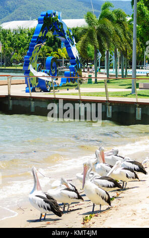 Australian Pelicans (Pelecanus conspicillatus) in front of the Citizens Gateway to the Great Barrier Reef sculpture, Cairns, Far North Queensland, FNQ Stock Photo
