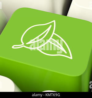 Leaves Icon Computer Key Green Showing Recycling And Eco Friendly Stock Photo