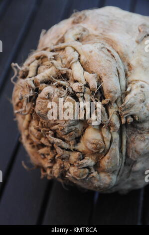 celeriac Stock Photo