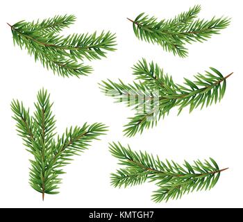 Collection Set of Realistic Fir Branches Silhouette for Christmas Tree, Pine. Vector Illustration Stock Vector