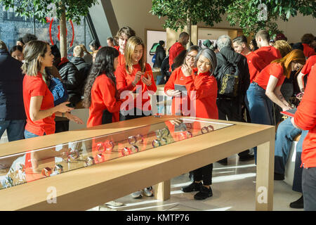 apple watch vitrine
