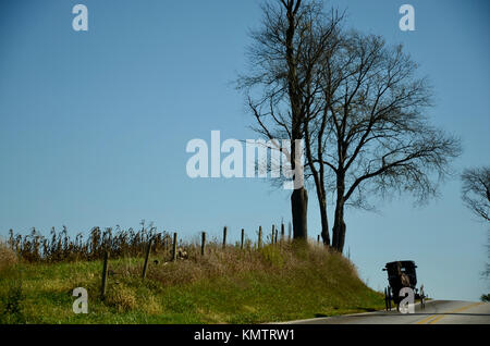 Amish buggy being driven on road in Holmes County, Ohio, USA. Stock Photo