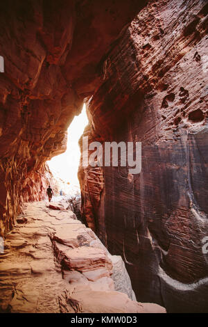 A hiker walks on a rock path inside a canyon with narrow red rock walls at Zion National Park in Utah.