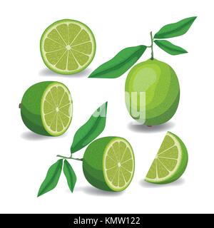 lemon fruit whole and sliced in colorful silhouette over white background Stock Vector