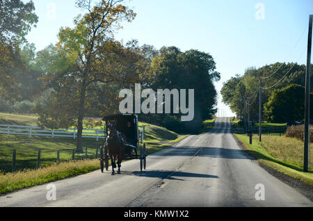 Amish buggy being driven on road in Holmes County, Ohio, USA. Stock Photo