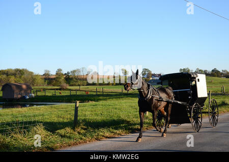 Amish buggy being driven on road in Holmes County, Ohio, USA. Stock Photo