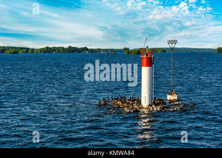 Small lighthouse on the river with black birds resting on its rocks under blue skies with fluffy clouds Stock Photo