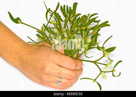 Parasite eve hi-res stock photography and images - Alamy