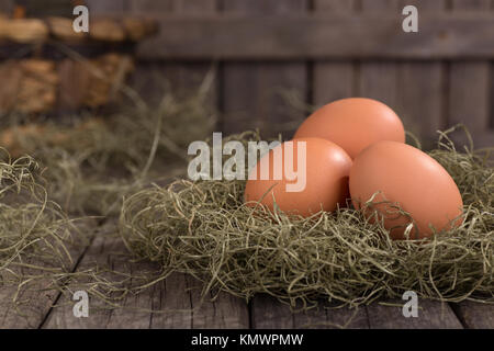 Three brown eggs on a wood surface and background Stock Photo