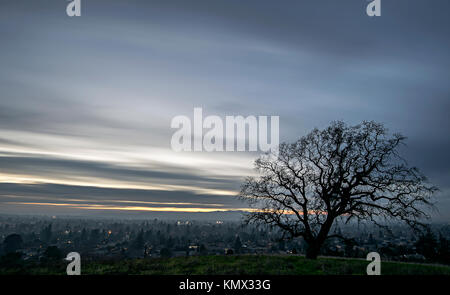 Winter Valley Oak Tree Overlooking Walnut Creek, California at Sunset with Clouds in a Blue and Orange Sky Stock Photo