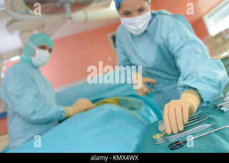 two surgeons in operating room Stock Photo