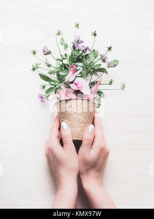 Female hand holding flowers pot with floral arrangements on white wooden background. Gardening and flowers still life concept Stock Photo