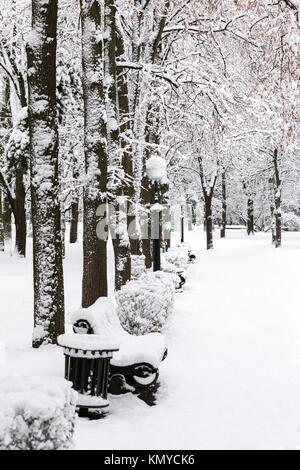 park benches and bushes covered in thick layer of snow Stock Photo