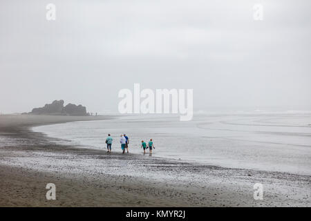 Ruby Beach on the Pacific Ocean  in Olypmic National Park in Washington State in the United States Stock Photo