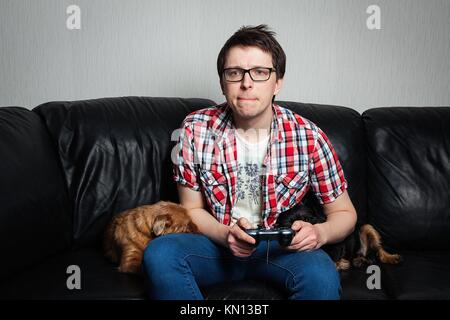 The young man in the red shirt and glasses playing video games with a joystick sitting on a black leather couch with two dogs. He bites his lips, conc Stock Photo