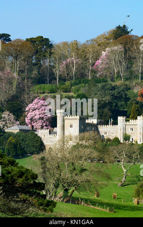 caerhays castle and gardens in cornwall, england, britain, uk. Stock Photo