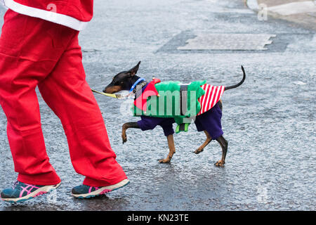 Glasgow, Scotland, UK - 10 December 2017: UK weather - thousands of santas brave temperatures well below zero on a freezing cold day in Glasgow raising money for charity at the Glasgow Santa Dash Credit: Kay Roxby/Alamy Live News Stock Photo