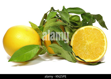 oranges with leaves isolated on white background Stock Photo