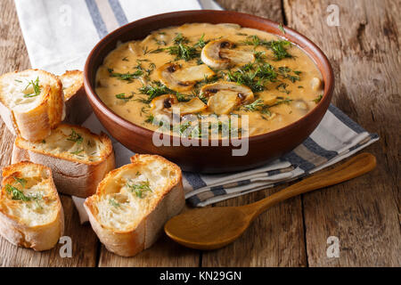 Homemade Hungarian delicious thick mushroom soup with fresh dill in a bowl and toast close-up on the table. horizontal Stock Photo