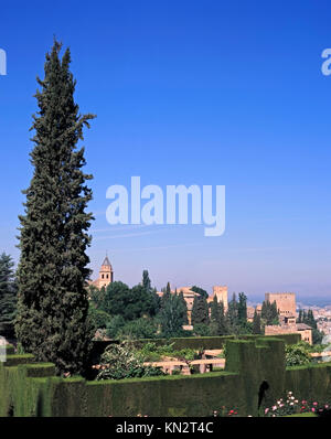 Gardens of the Generalife, The Alhambra, Granada, Andalusia, Spain Stock Photo