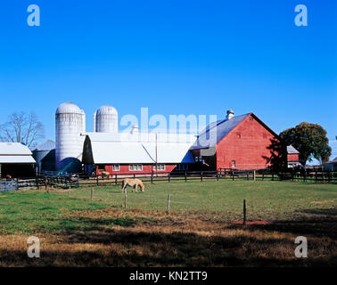 Farm Scene, Town of Red Hook, Dutchess County, New York State, America Stock Photo