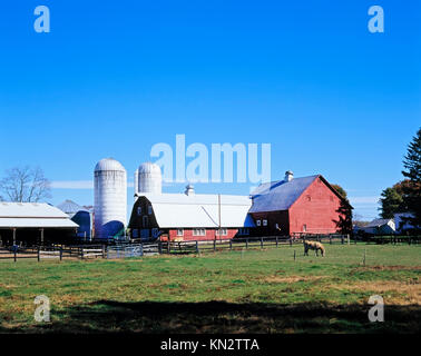 Farm Scene, Town of Red Hook, Dutchess County, New York State, America Stock Photo