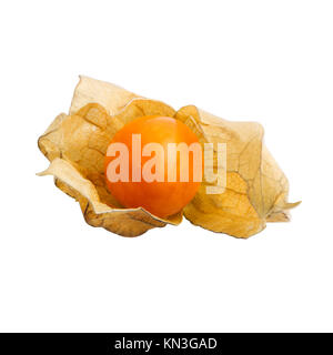 Physalis or cape gooseberry fruit isolated on white with clipping path
